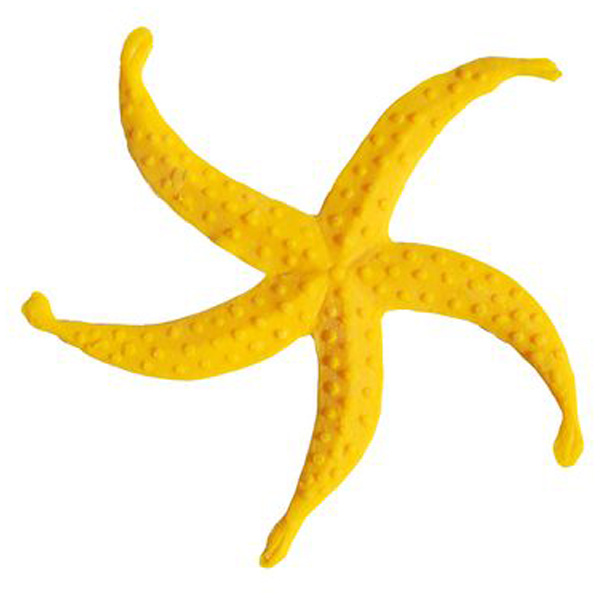 Starfish Matrices Frises Rosaces Isoplam